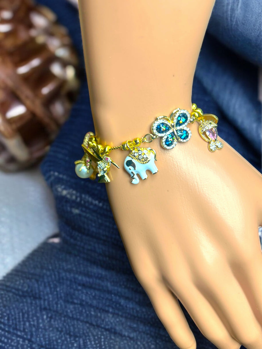 Evolution Bracelet