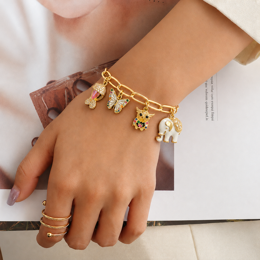 Evolution Bracelet