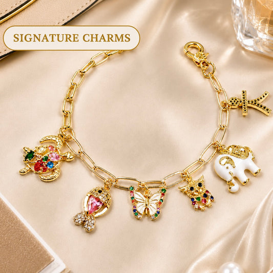 Evolution Bracelet